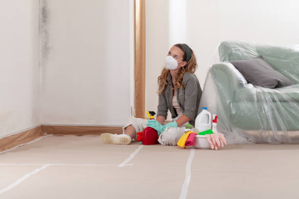 Reliable Mold Testing contractor in Sawyer, MI by WQB Mold Removal